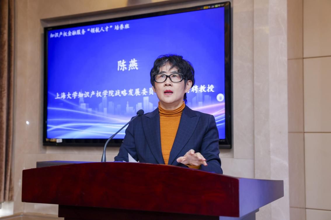 知识产权金融效劳“领航人才”作育班（2024）顺遂举行-尊龙凯时