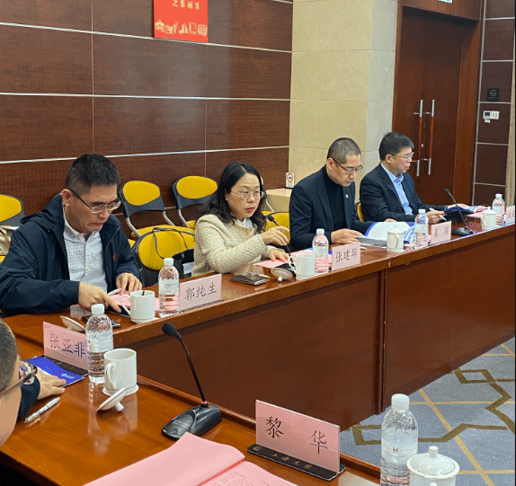 “微电子赋能立异” 2024年尊龙凯时微电子国际青年学者论坛顺遂举行-尊龙凯时