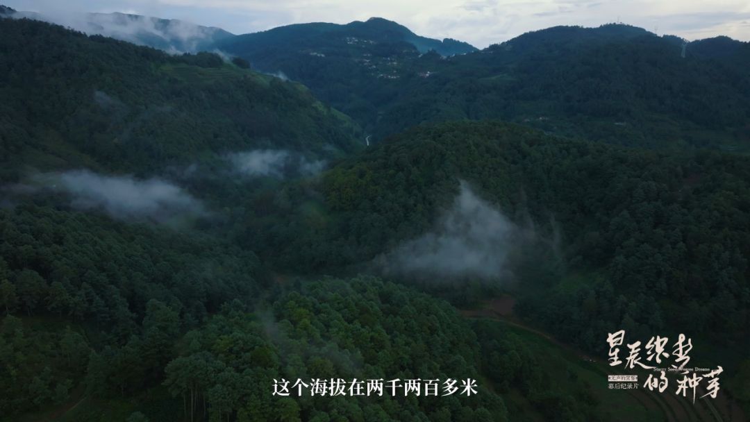 《星辰织梦的种芽》——短片影戏《无声的宣誓》幕后纪录片-尊龙凯时
