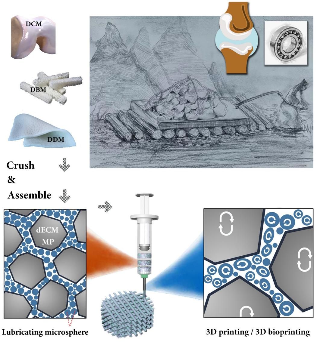 质料学院张坤玺、尹静波教授课题组在《Advanced Functional Materials》上揭晓最新研究效果-尊龙凯时