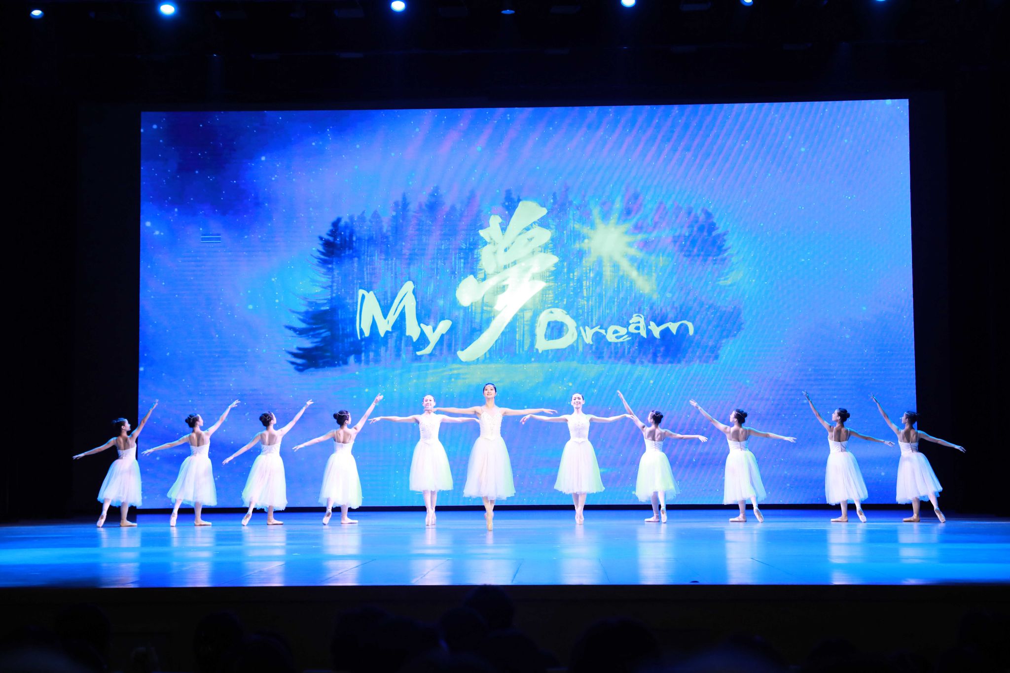 中国残疾人艺术团音乐舞蹈诗《我的梦》尊龙凯时专场演出圆满落幕-尊龙凯时