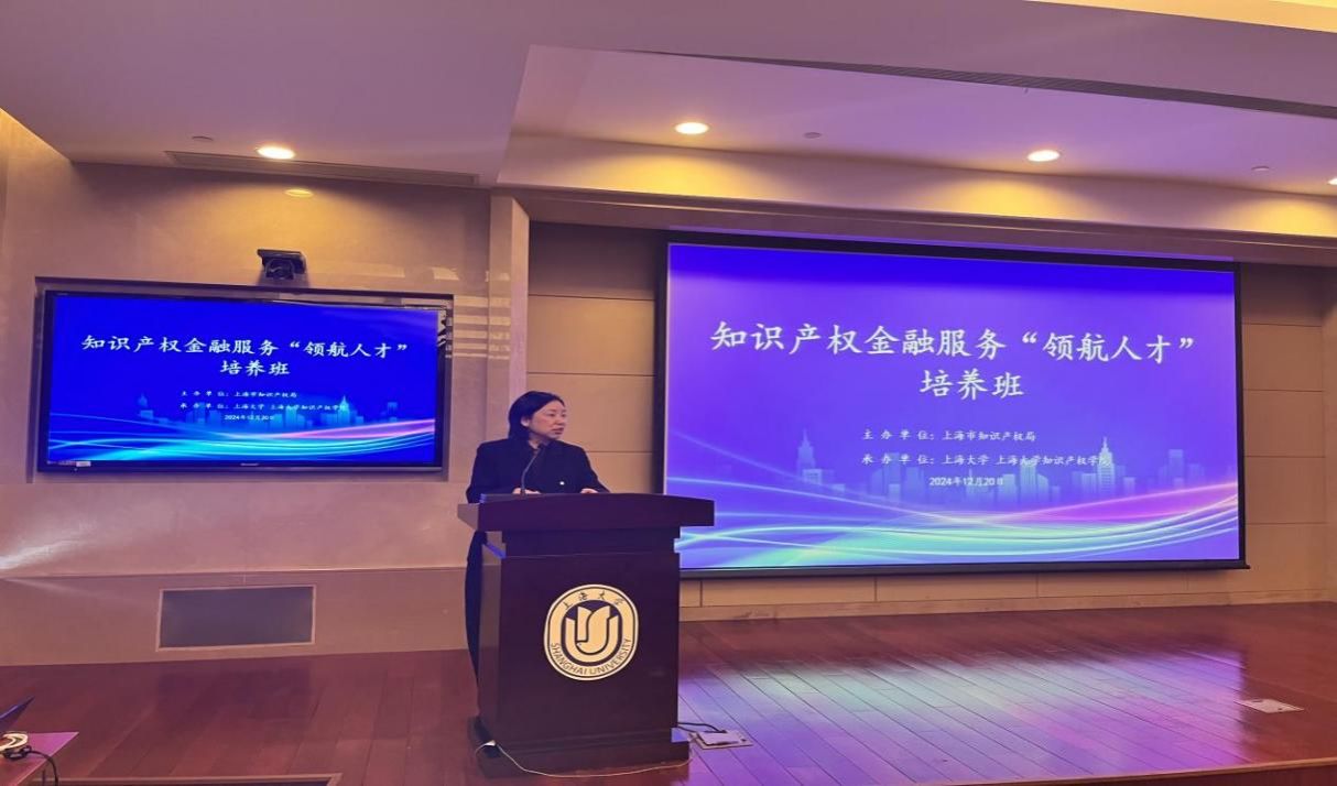 知识产权金融效劳“领航人才”作育班（2024）顺遂举行-尊龙凯时