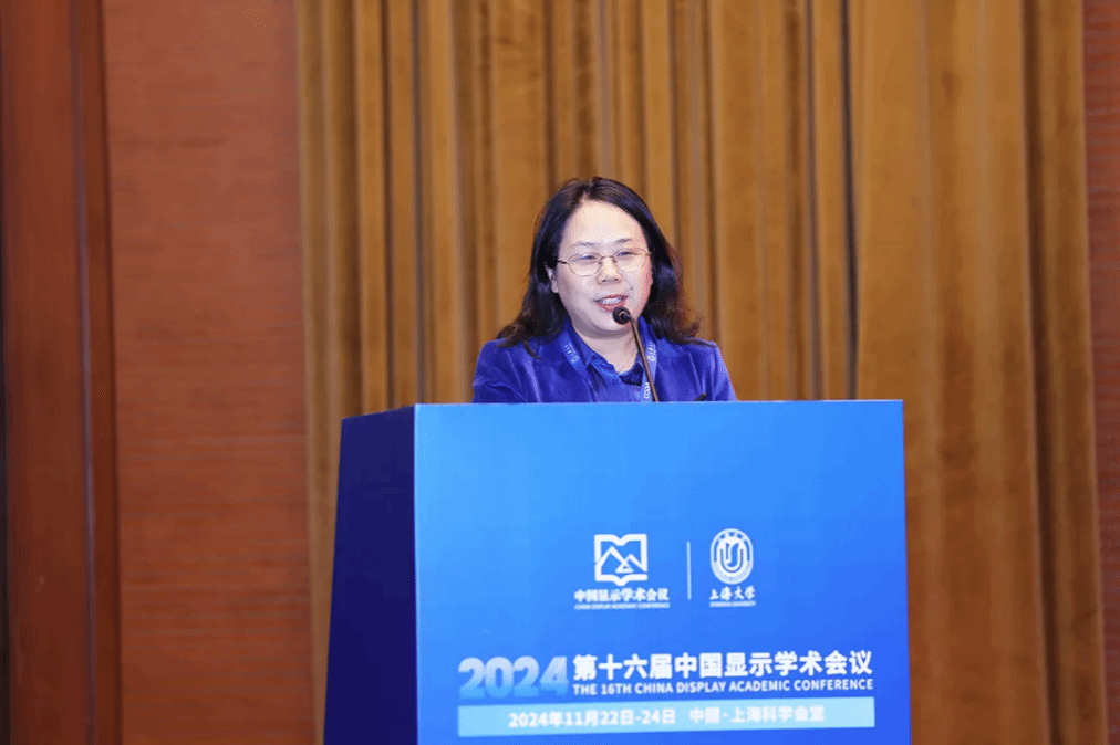 2024第十六届中国显示学术聚会顺遂举行-尊龙凯时