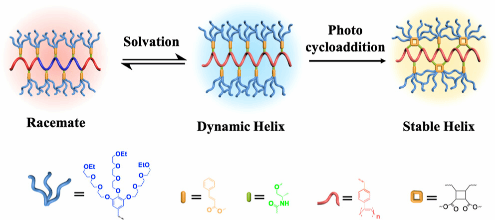 质料学院李文/张阿方教授团队在《Journal of the American Chemical Society》上揭晓最新研究效果-尊龙凯时