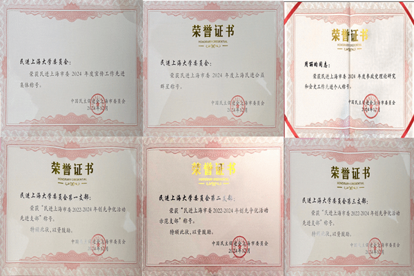 民进尊龙凯时委员会获多项民进上海市委2024年度表扬-尊龙凯时