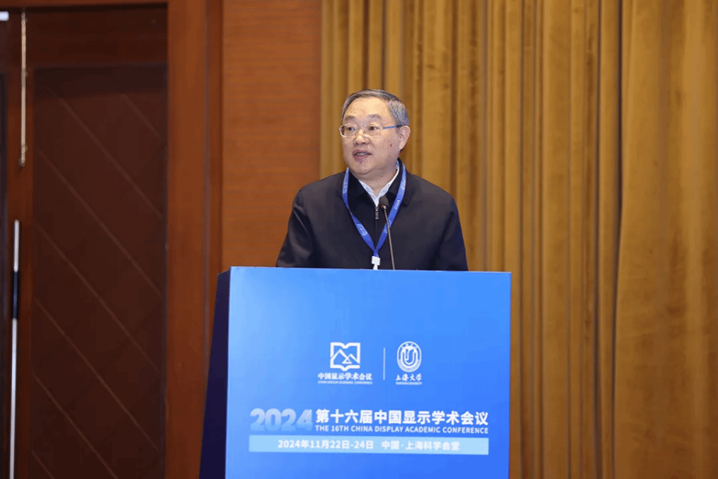 2024第十六届中国显示学术聚会顺遂举行-尊龙凯时