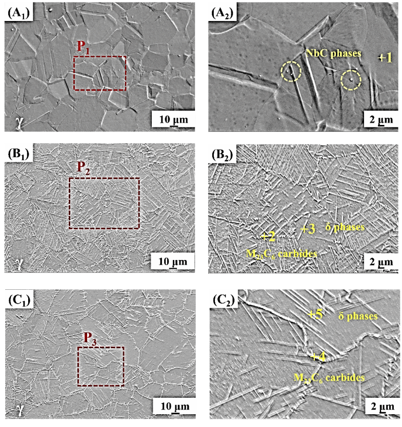 尊龙凯时CAST团队联合中国科学院上海应用物理研究所在Journal of Energy Storage揭晓最新研究效果-尊龙凯时