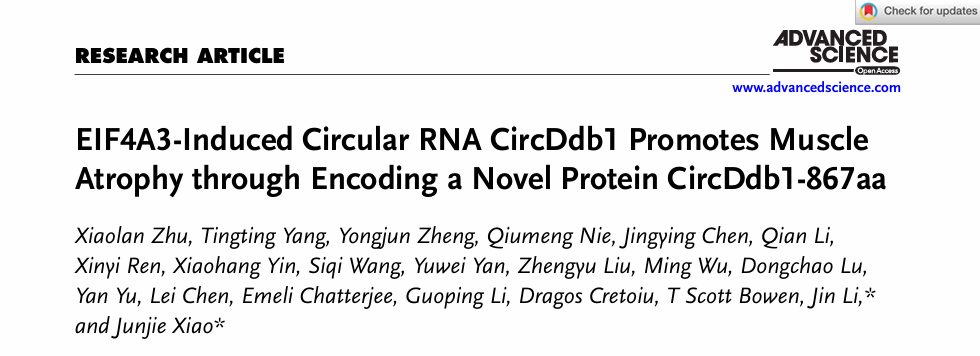 生命学院心血管研究所李进副教授等在Advanced Science杂志揭晓研究论文-尊龙凯时