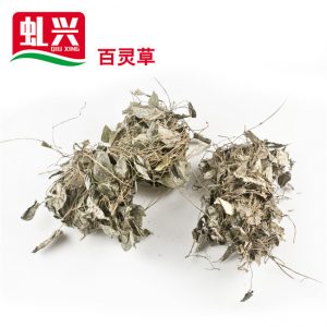 万利官网-相信品牌力量